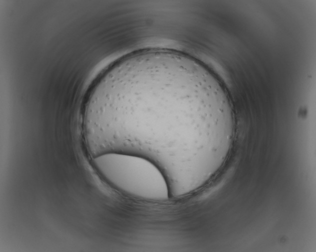 X0000093521125200710121122