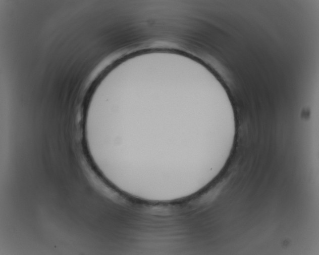 X0000093521126200710121122