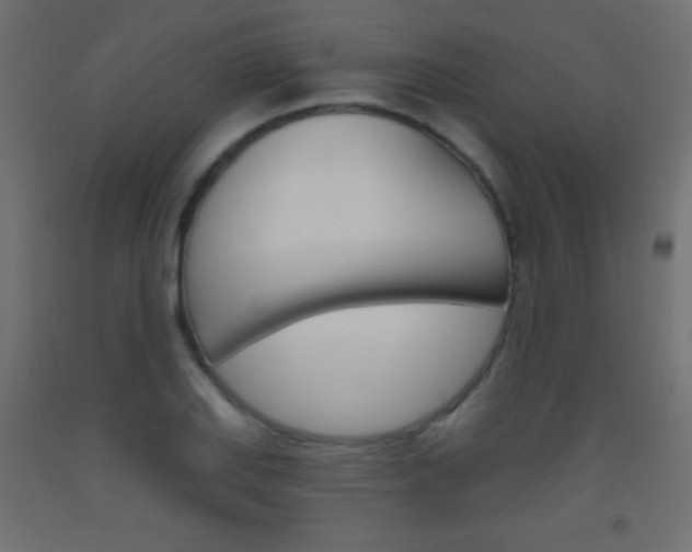 X0000093521127200710121122