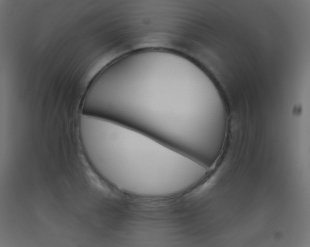 X0000093521129200710121122