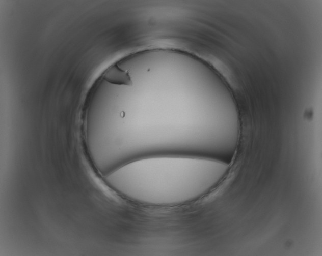 X0000093521134200710121122