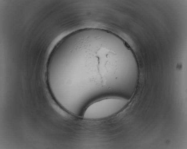 X0000093521136200710121122