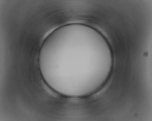 X0000093521137200710121122