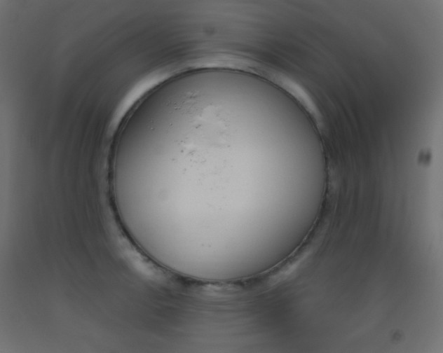 X0000093521138200710121122