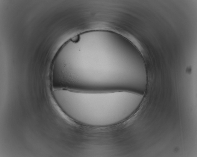 X0000093521142200710121122