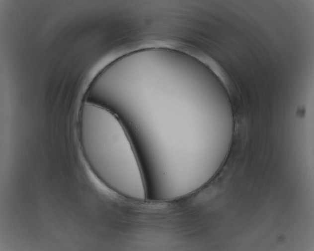 X0000093521143200710121122