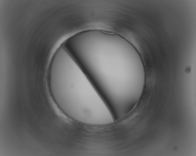 X0000093521144200710121122