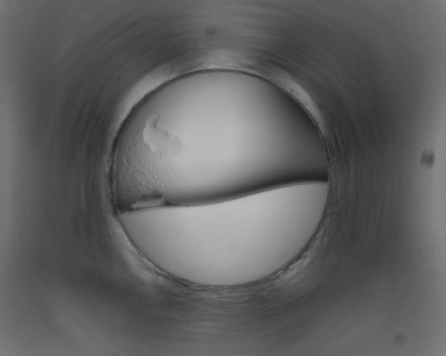 X0000093521146200710121122