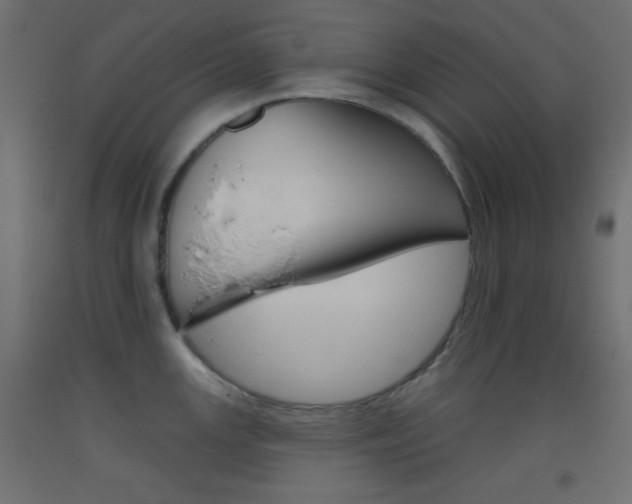 X0000093521147200710121122