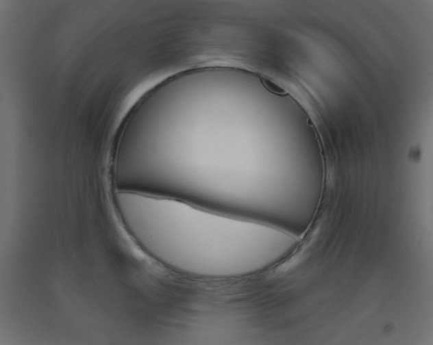 X0000093521149200710121122