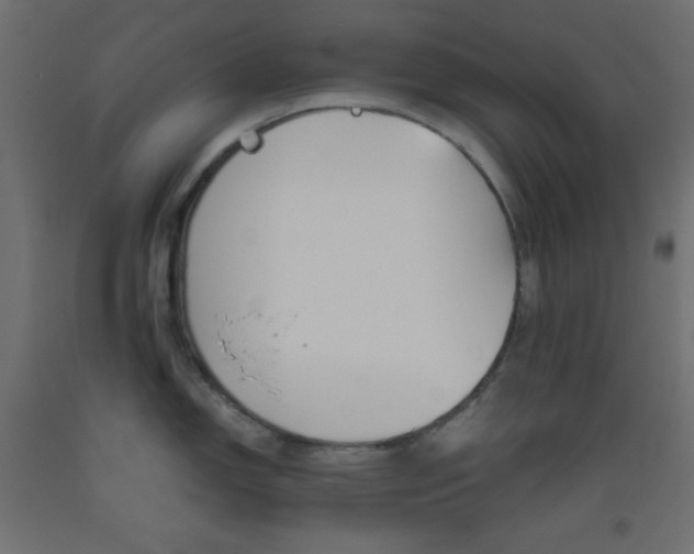 X0000093521150200710121123