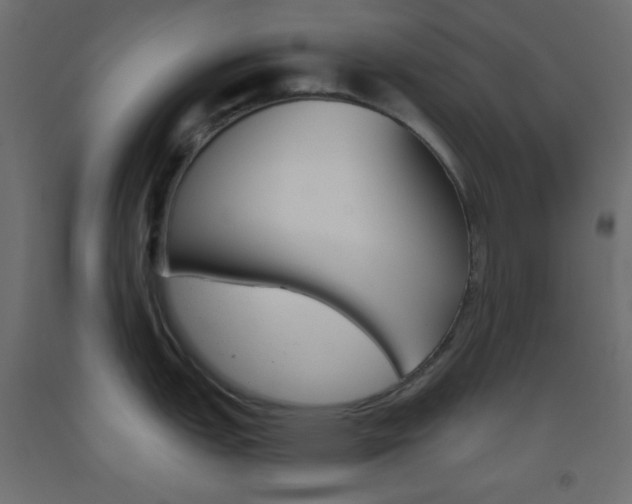 X0000093521151200710121123