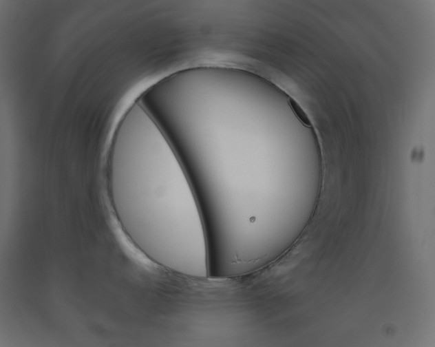 X0000093521152200710121123