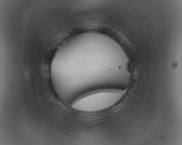 X0000093521156200710121122