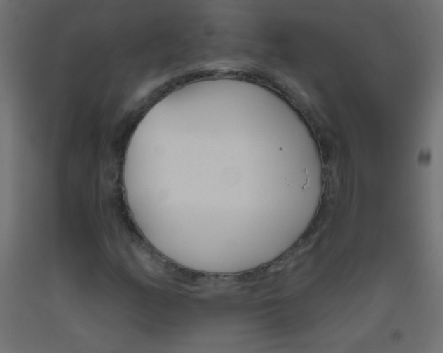 X0000093521158200710121122