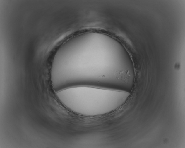 X0000093521159200710121122