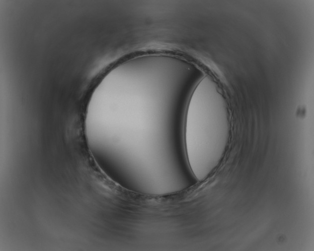 X0000093521160200710121122