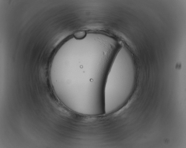 X0000093521162200710121122