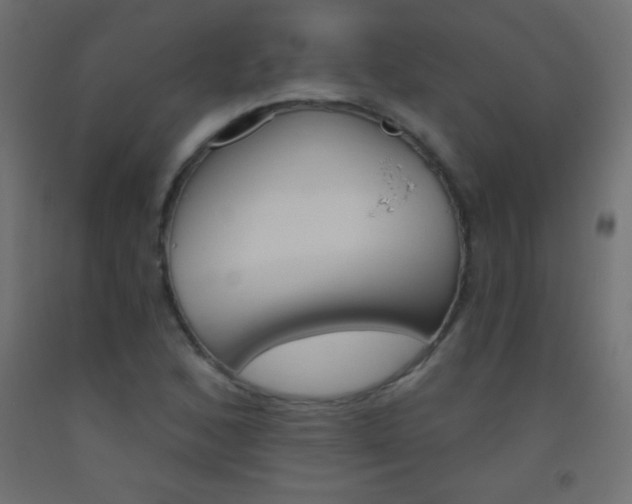 X0000093521168200710121122