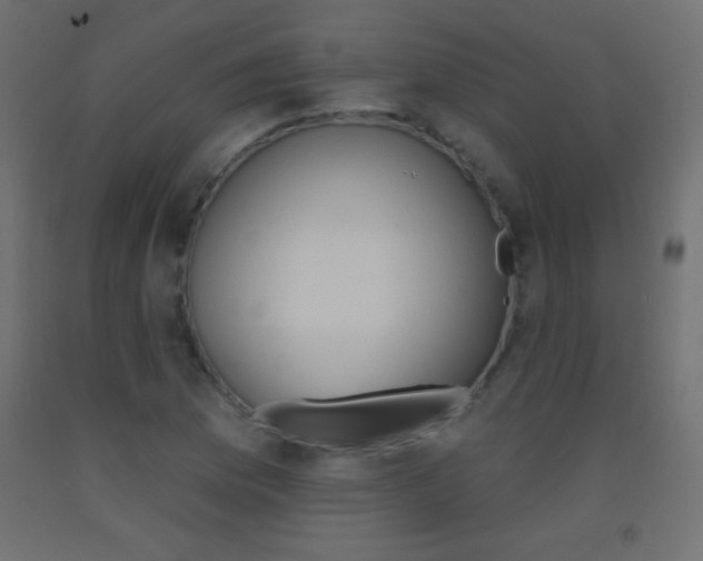 X0000093521169200710121122