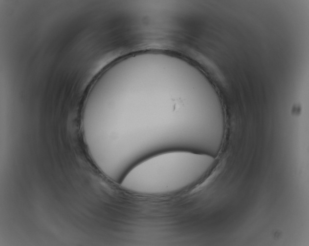 X0000093521170200710121122