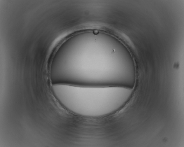 X0000093521172200710121122