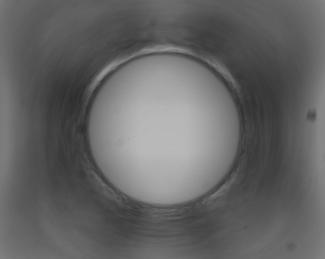 X0000093521173200710121122