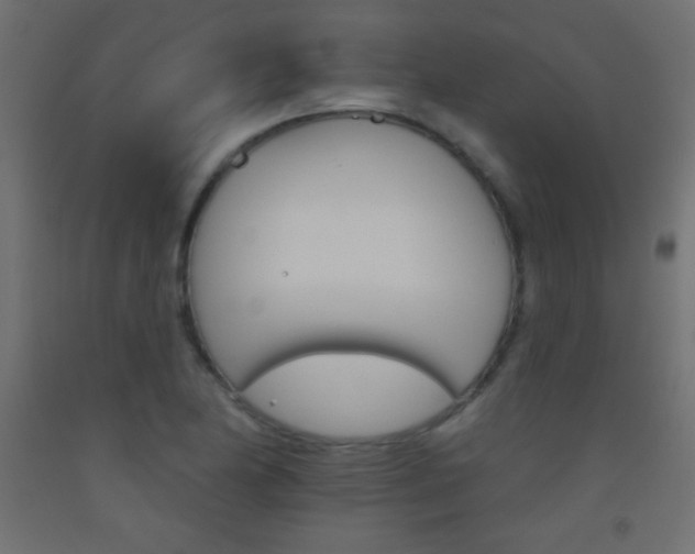 X0000093521174200710121121
