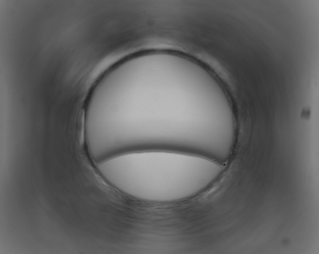 X0000093521175200710121121