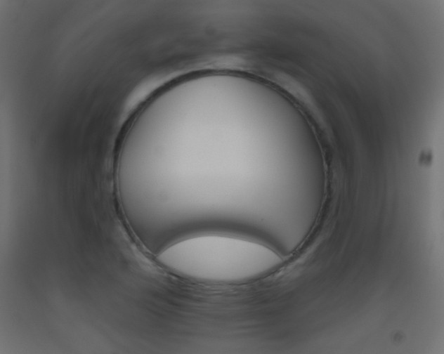 X0000093521176200710121121