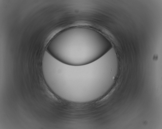 X0000093521177200710121121