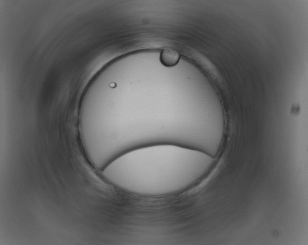 X0000093521178200710121121