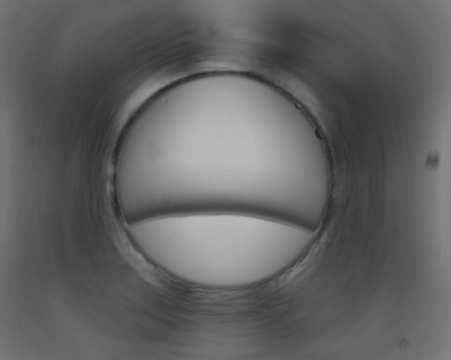 X0000093521179200710121121