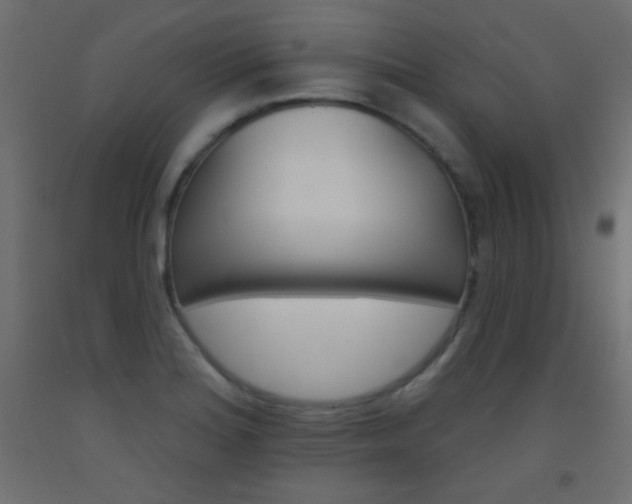 X0000093521180200710121121
