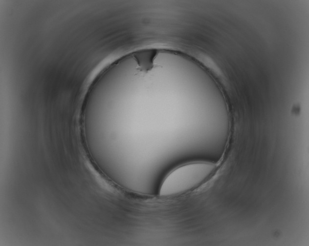 X0000093521181200710121121