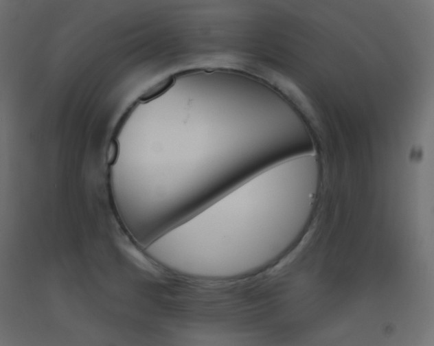 X0000093521184200710121121