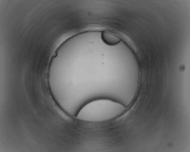 X0000093521186200710121121