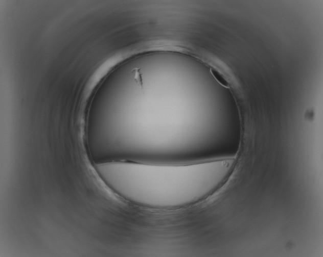 X0000093521188200710121121