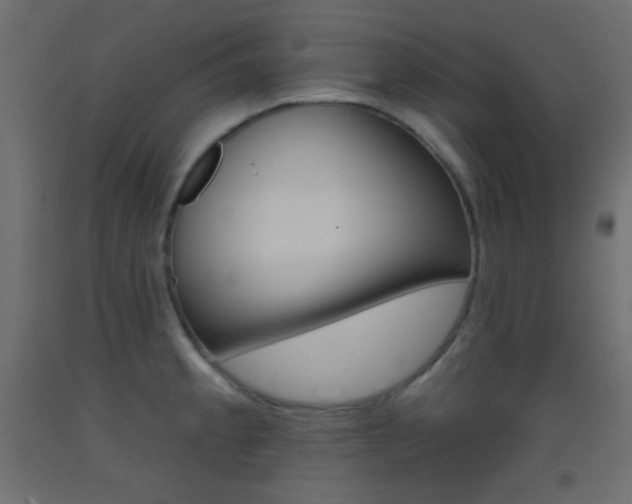 X0000093521189200710121121