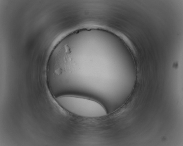 X0000093521191200710121121