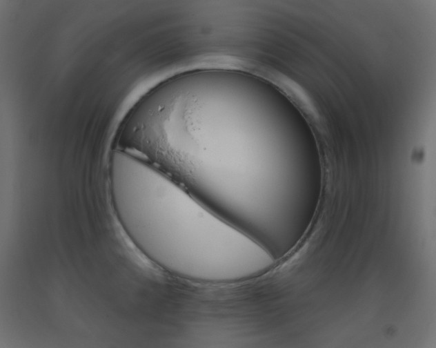 X0000093521192200710121121