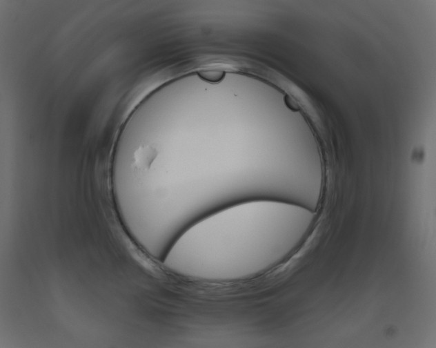 X0000093521194200710121121