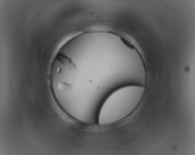 X0000093521195200710121121