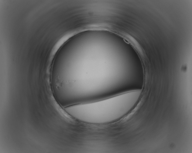 X0000093521196200710121121