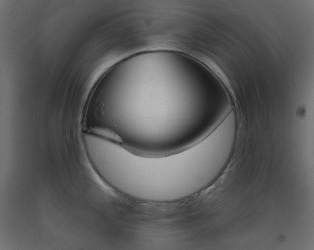 X0000093521197200710121121