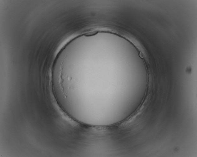X0000093521198200710121121