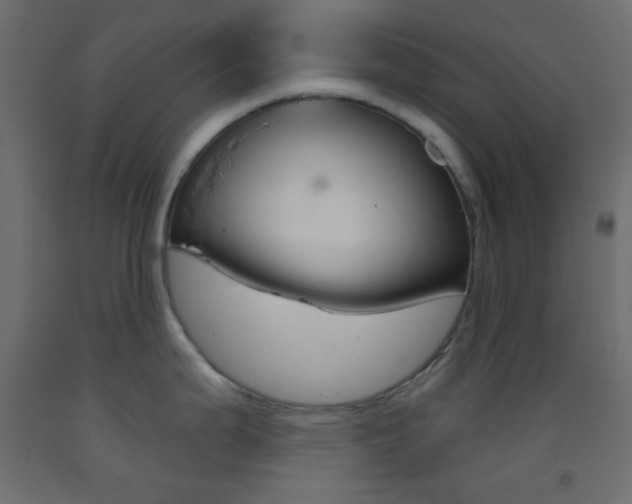 X0000093521199200710121121