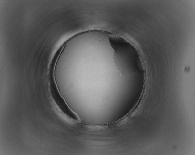 X0000093521200200710121121