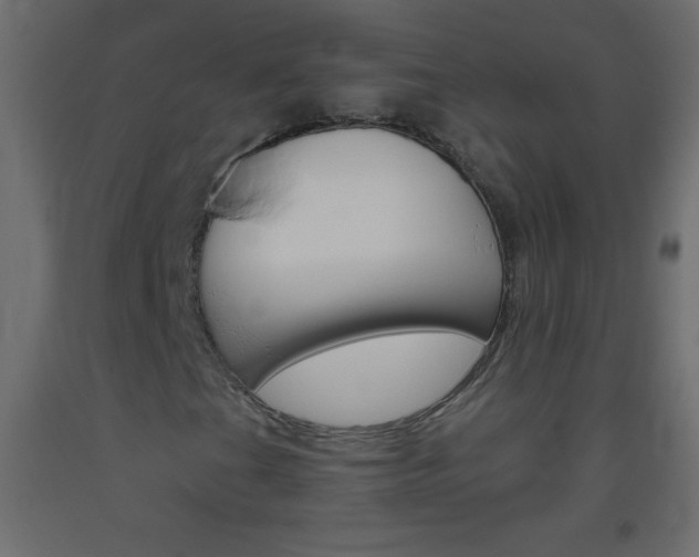 X0000093521201200710121121