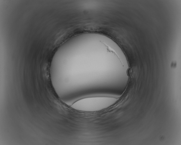 X0000093521202200710121121